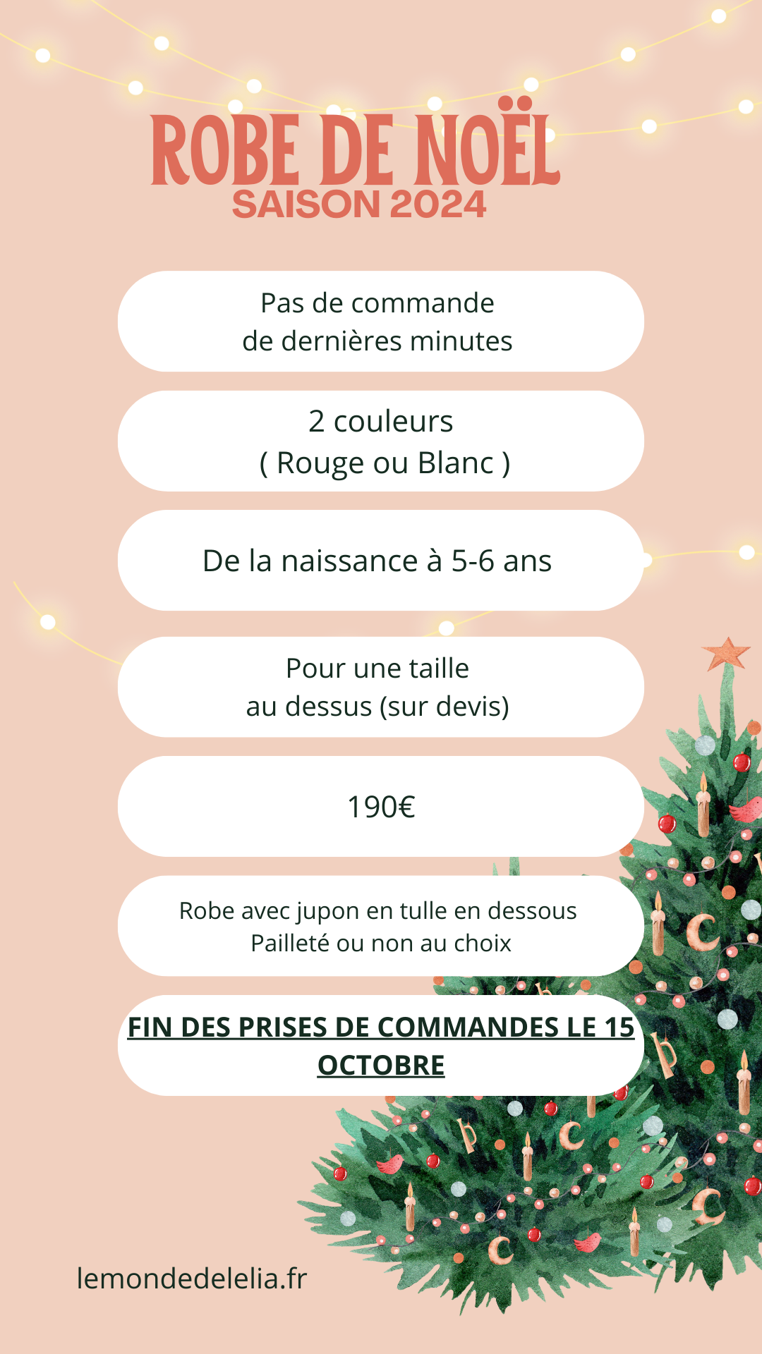 ROBE DE NOËL 🎄